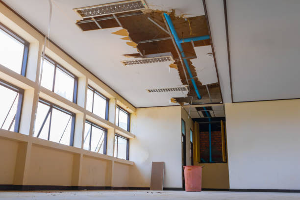 Best Residential water damage restoration  in Port Jefferson Station, NY