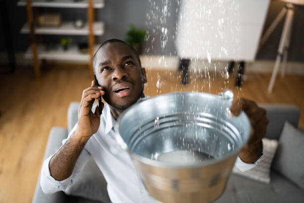  Port Jefferson Station, NY Water damage restoration Pros