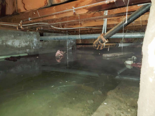Best Ceiling water damage repair  in Port Jefferson Station, NY