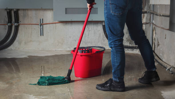 Best Water damage cleanup near me  in Port Jefferson Station, NY