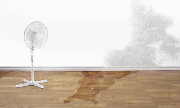 Best Water damage restoration mold remediation  in Port Jefferson Station, NY