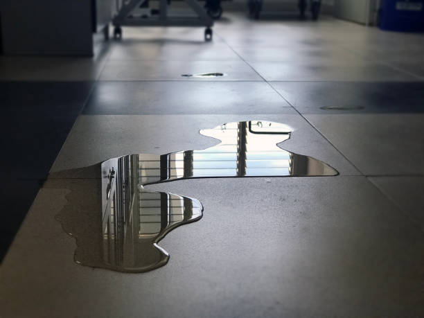 Best Water damage restoration near me  in Port Jefferson Station, NY