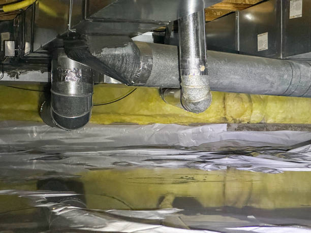 Best Carpet water damage restoration  in Port Jefferson Station, NY